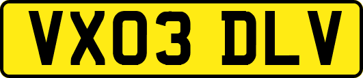 VX03DLV