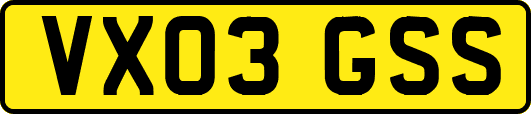 VX03GSS