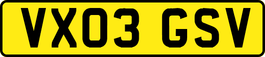 VX03GSV
