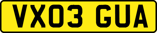 VX03GUA