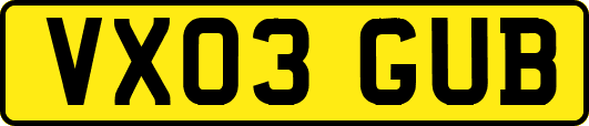 VX03GUB