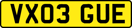 VX03GUE