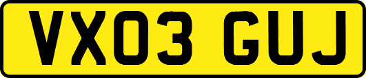 VX03GUJ