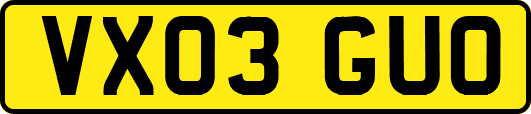 VX03GUO