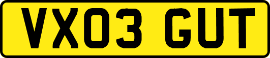 VX03GUT