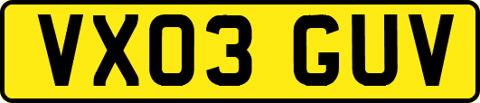 VX03GUV