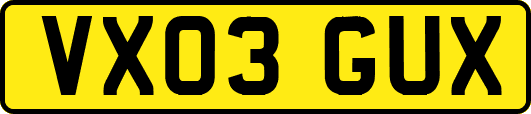 VX03GUX