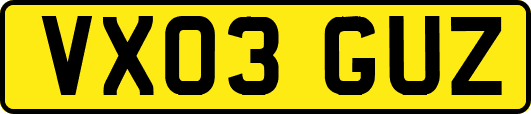 VX03GUZ