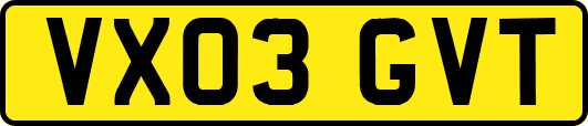 VX03GVT