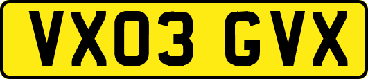 VX03GVX
