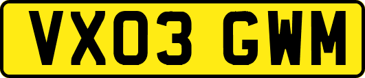 VX03GWM