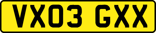 VX03GXX