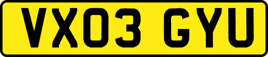 VX03GYU