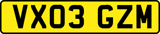 VX03GZM