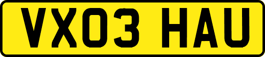 VX03HAU