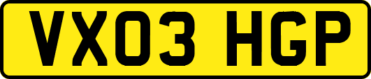 VX03HGP