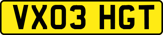 VX03HGT