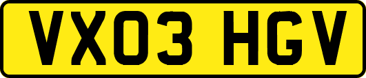 VX03HGV