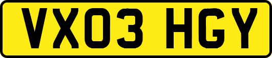 VX03HGY