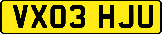 VX03HJU