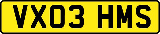 VX03HMS