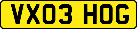 VX03HOG