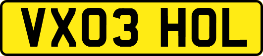 VX03HOL