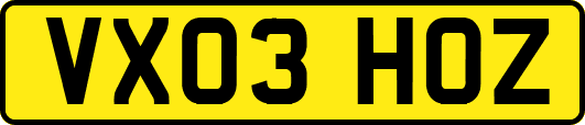 VX03HOZ