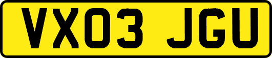 VX03JGU
