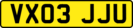 VX03JJU