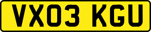 VX03KGU