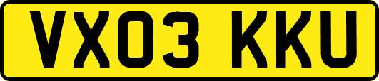 VX03KKU