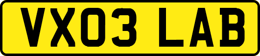 VX03LAB