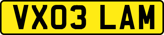 VX03LAM