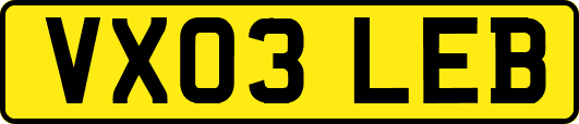 VX03LEB