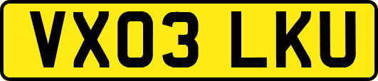 VX03LKU
