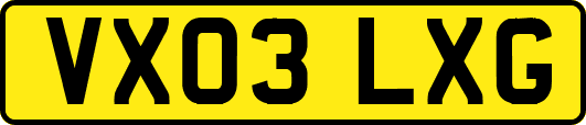 VX03LXG