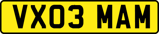 VX03MAM