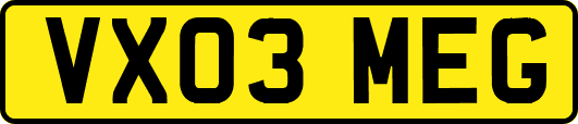 VX03MEG