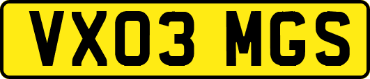 VX03MGS
