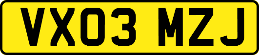 VX03MZJ