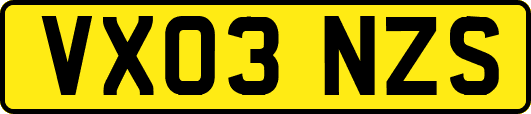 VX03NZS