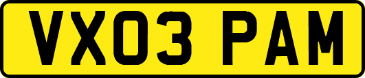 VX03PAM