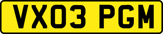 VX03PGM