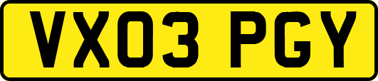 VX03PGY