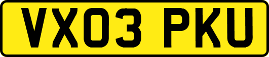 VX03PKU