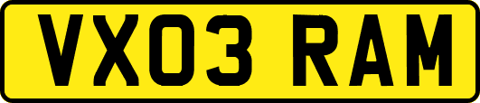 VX03RAM