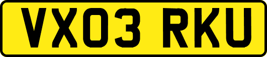 VX03RKU