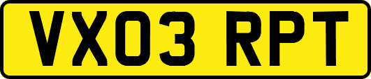 VX03RPT