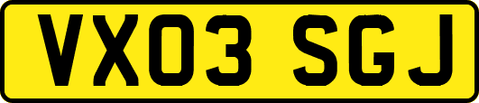 VX03SGJ